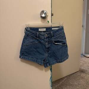 PacSun Mom Denim Shorts Size 28 Medium Wash High Rise